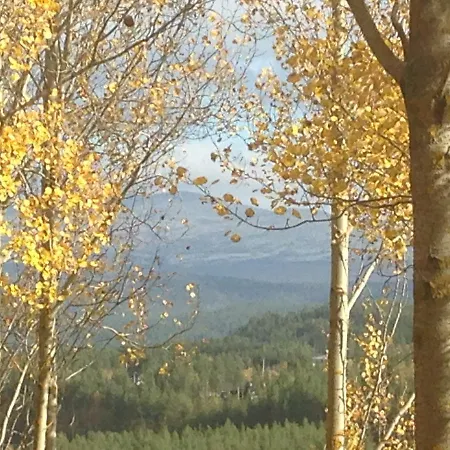 Ivaregga Vinterstua Apartment *