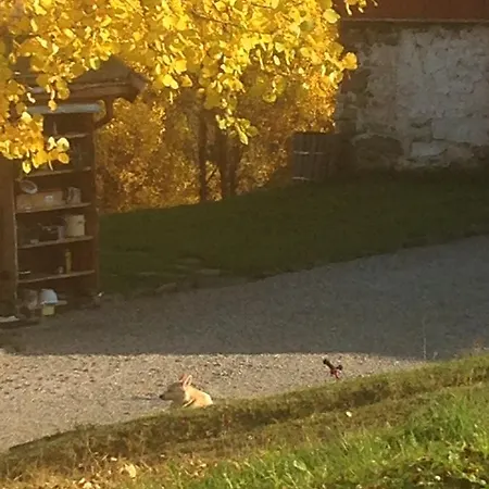 Apartment Ivaregga Vinterstua Tolga