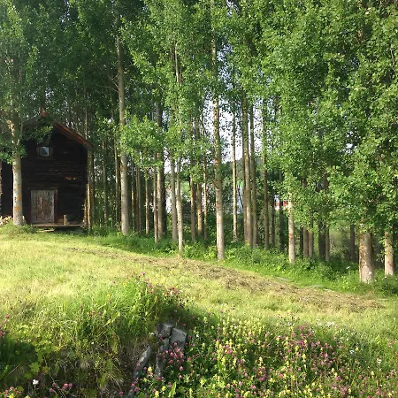 Ivaregga Vinterstua * Tolga