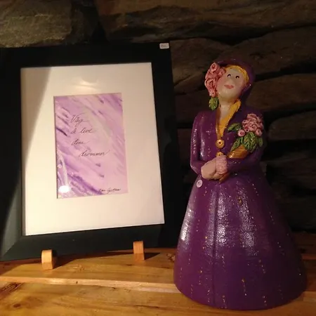 アパート Ivaregga Vinterstua