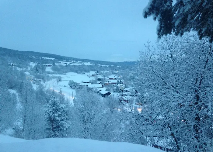 Ivaregga Vinterstua *