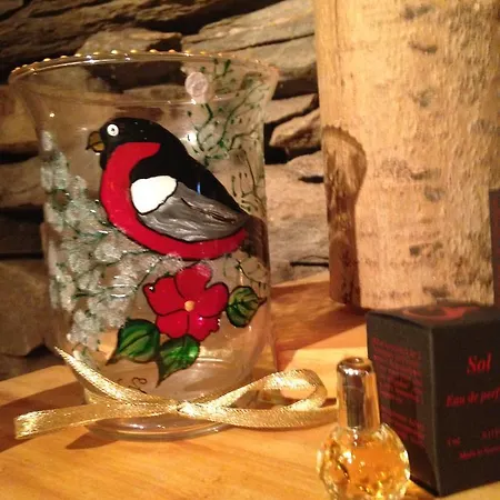 Ivaregga Vinterstua Lägenhet Tolga